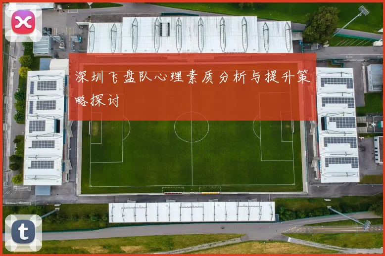 深圳飞盘队心理素质分析与提升策略探讨