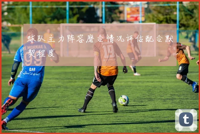 球队主力阵容磨合情况评估配合默契程度