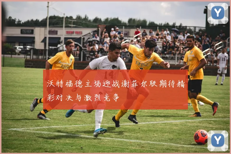沃特福德主场迎战谢菲尔联期待精彩对决与激烈竞争